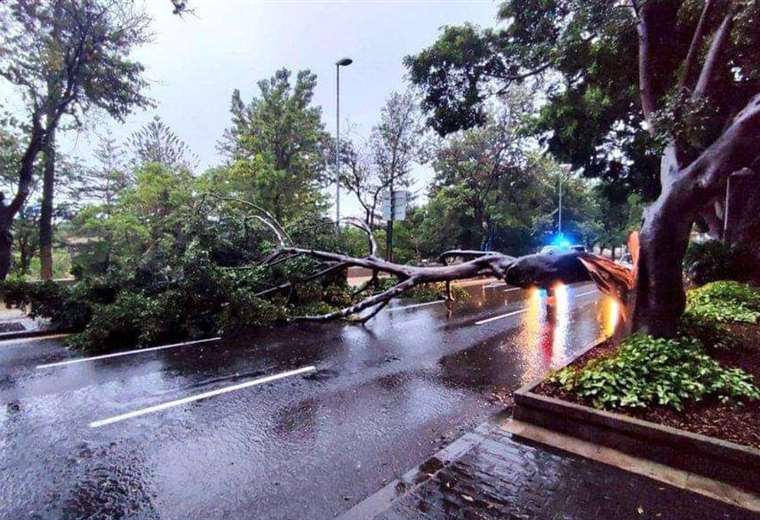 More than 200 flights canceled in the Canary Islands due to torrential rains