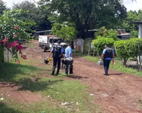 New victim of femicide: Man strangles his partner in Mateare