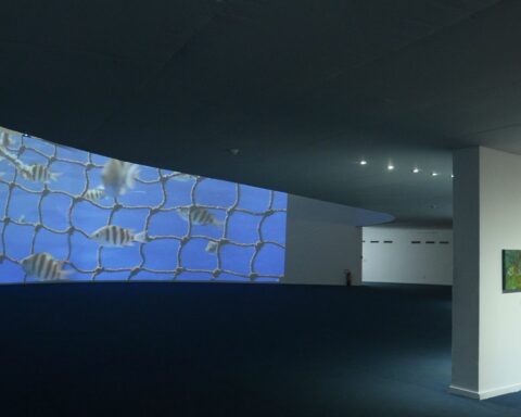 Niterói opens today the series Cities in the Ocean Decade