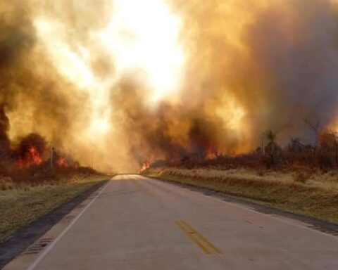 On the National Day of Protected Areas, the fire stalks the ANMI San Matías;  It already affected Otuquis and Noel Kempff