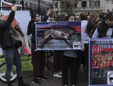 Organizations marched to Congress to demand an end to mistreatment of horses