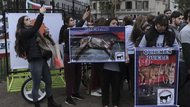 Organizations marched to Congress to demand an end to mistreatment of horses