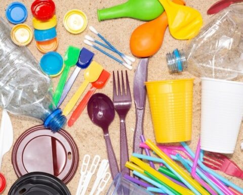 Parliament analyzes project that prohibits the use of single-use plastic products