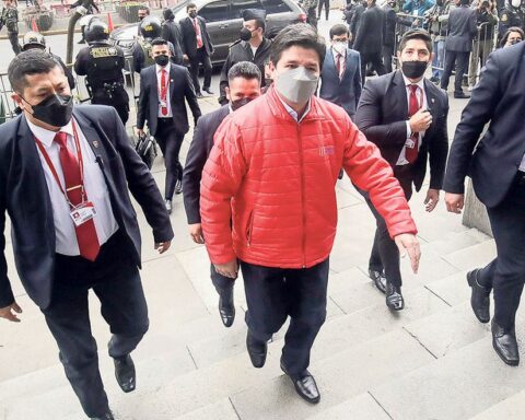 Pedro Castillo: they will ask to file a case of plagiarism by prescription