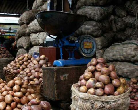 Potato prices will increase in the coming months