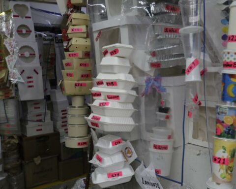 Project seeks to resume the use of technopor: what motivates it and why it generates rejection from the Minam and the Ombudsman