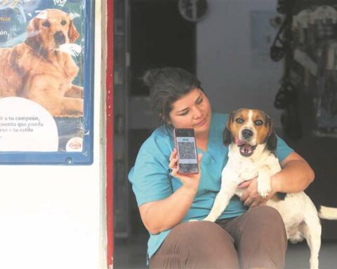 QR Code, the new business ally that promotes financial inclusion