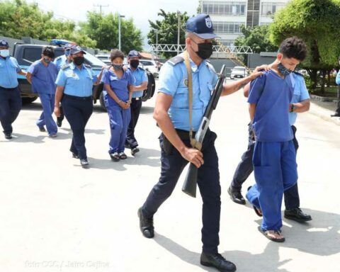 Regime “without strategy” to face escalation of violence against women