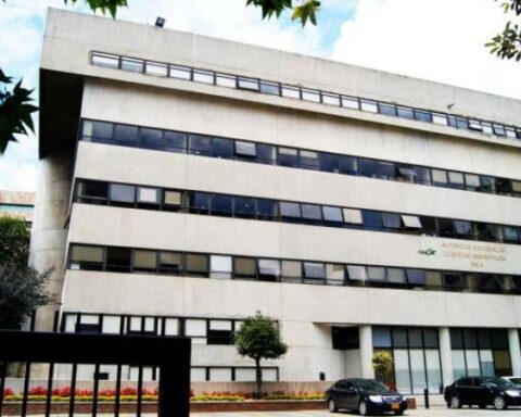 Rodrigo Negrete is appointed as the new director of Anla