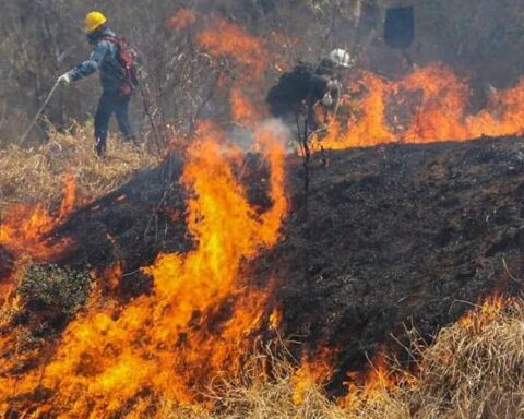 Santa Cruz registers a 66% extreme risk of occurrence of forest fires and has 21 active points