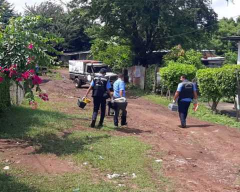 Sexist violence leaves 42 murdered and 110 frustrated femicides in eight months