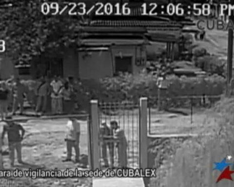 Cubalex, Allanamiento, La Habana