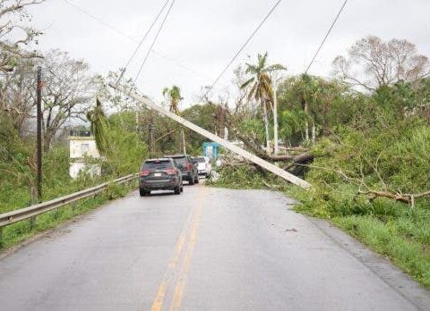 Unos 500 postes eléctricos y 200 transformadores se necesitan en región este