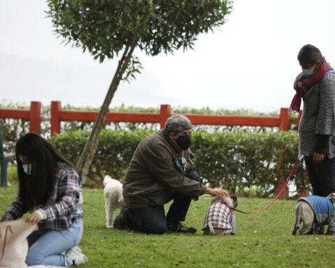 Spring 2022: what will be the temperatures and characteristics of the new season?  |  PODCAST