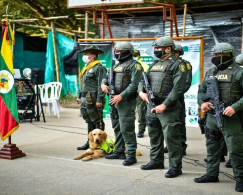 Strengthen measures to guarantee police safety in southern Tolima