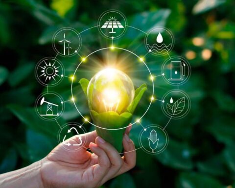 Study indicates that Peruvian CEOs prioritize sustainability in their business agendas