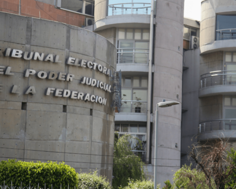 TEPJF will analyze a project to validate the election for the governorship of Tamaulipas