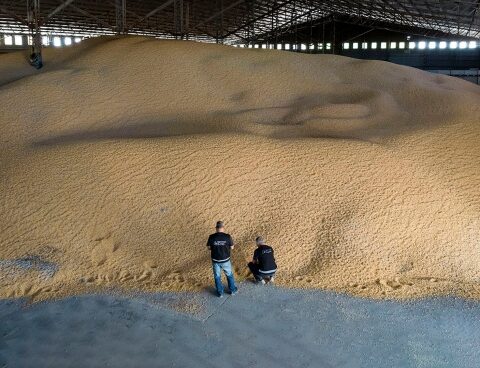 The Customs detected "trout cereal" that no foreign currency entered the country