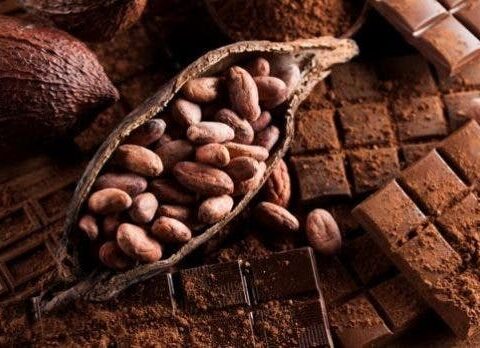 RD debe innovar en productos para exportar más a México