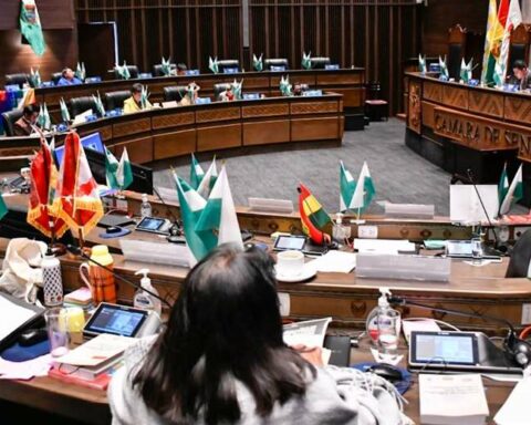 The MAS maneuvers in the Assembly session and manages to elect Pedro Callisaya as Ombudsman