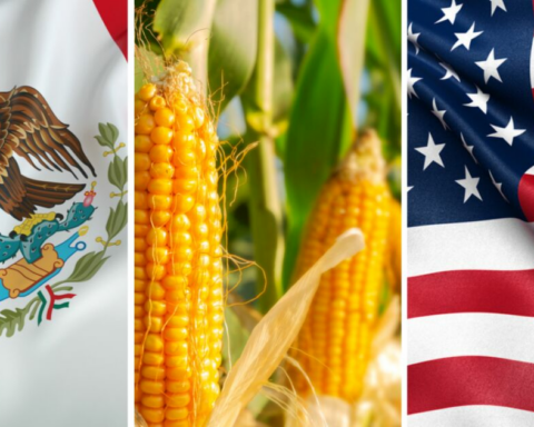 The US will pressure Mexico to ban transgenic corn