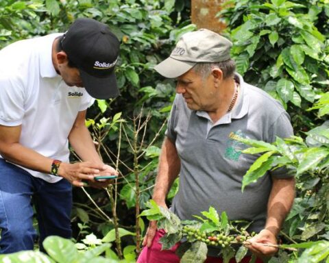 The coffee growers who bet on the capture of CO2