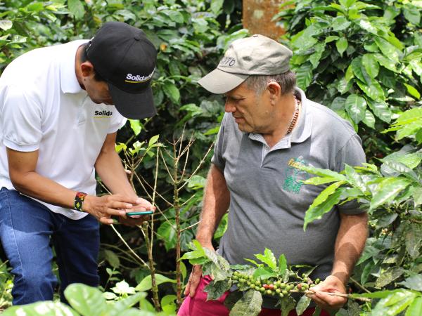 The coffee growers who bet on the capture of CO2