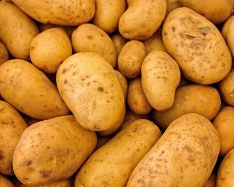 The cost of potatoes continues to rise in Huancayo markets and the trend will continue until January