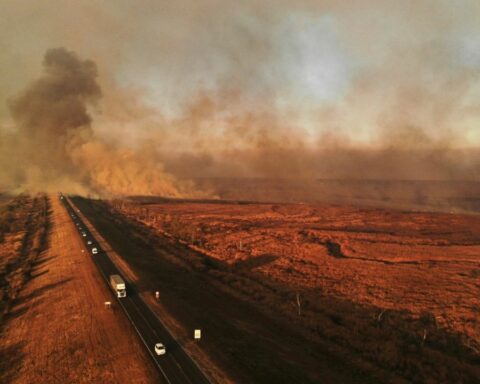 The fires do not subside in the Paraná Delta and the smoke spreads through Rosario