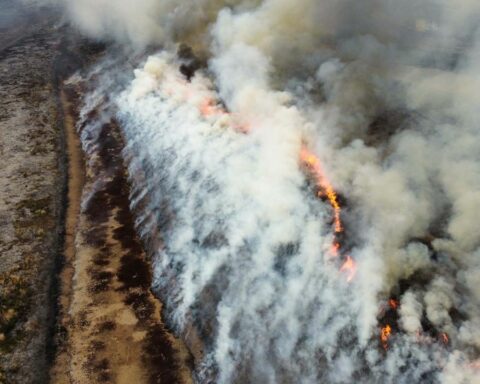 The fires in the Paraná Delta were reactivated