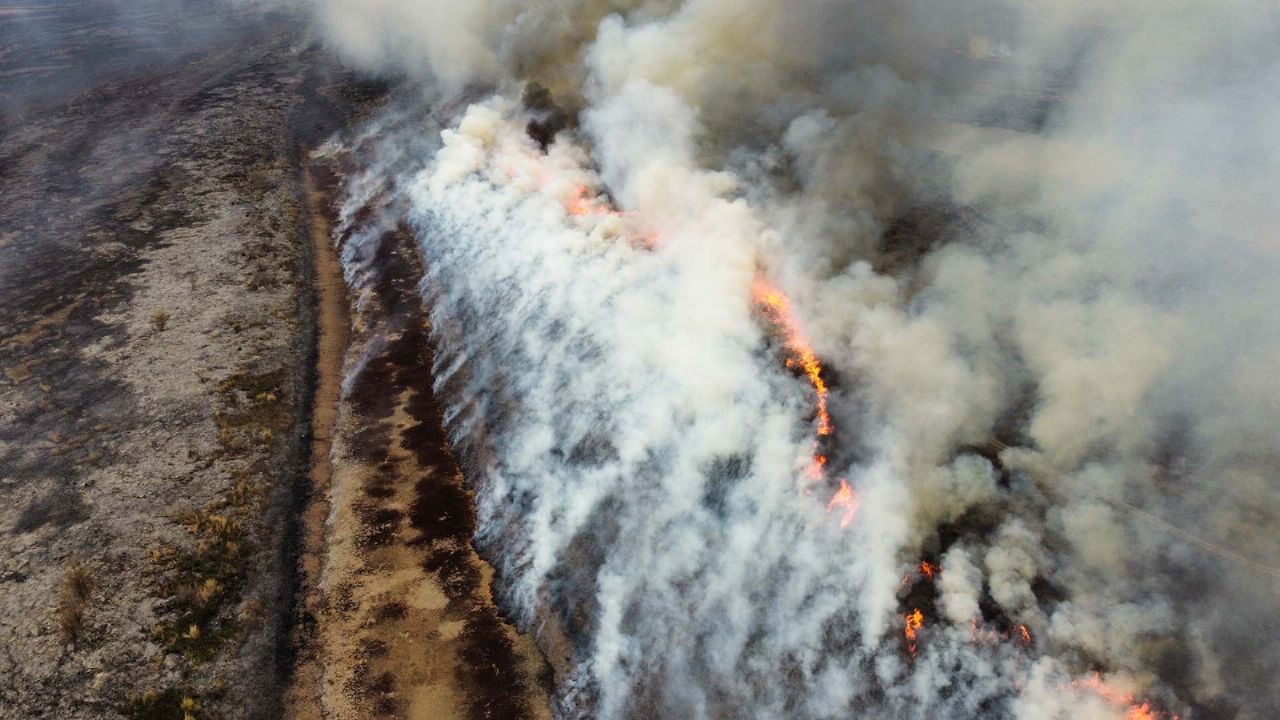 The fires in the Paraná Delta were reactivated