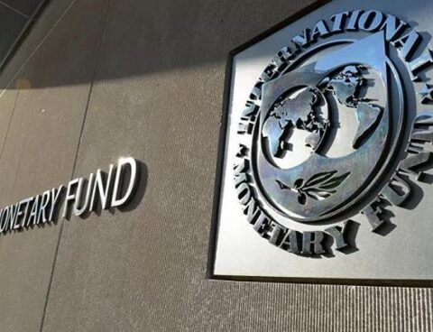 The government paid the first maturity of the IMF