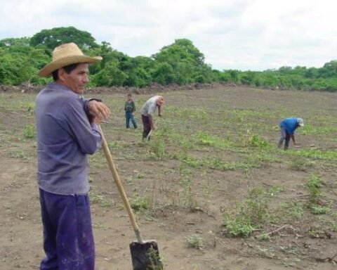 The government's plan to acquire land and sell it to peasants