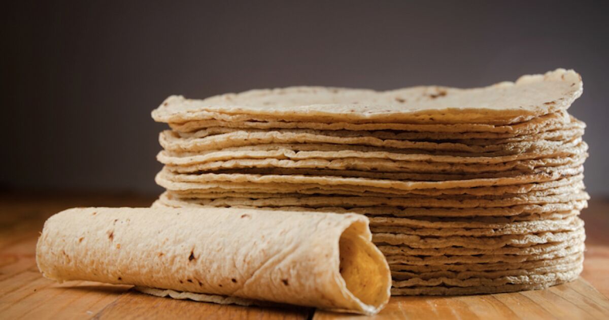 The price of a kilo of tortilla accumulates a rise of 3 pesos so far in 2022