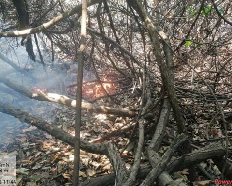 The rain does not reach the Noel Kempff park, nor does the support of the national government