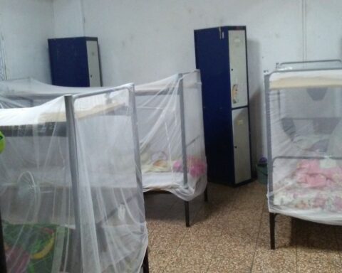 dengue, Cuba, médicos