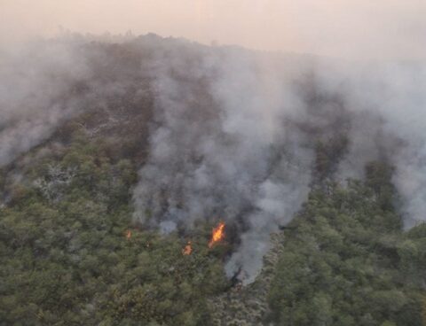 There remains an active focus of forest fire in the mountains of La Falda