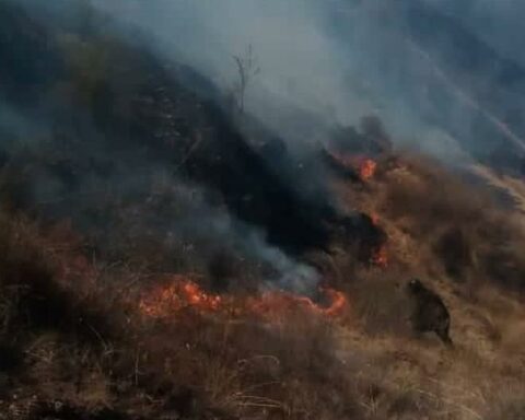 They arrest a septuagenarian accused of causing a forest fire in Congalla