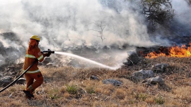 They arrested two people in Córdoba accused of causing forest fires