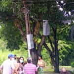 They ask for pruning of trees that put at risk power lines in the Los Samanes sector
