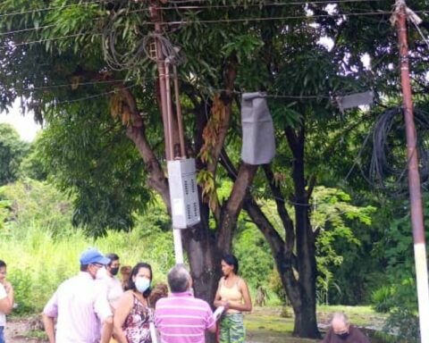 They ask for pruning of trees that put at risk power lines in the Los Samanes sector