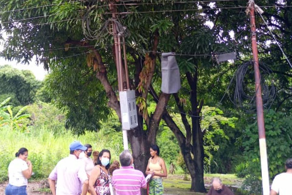 They ask for pruning of trees that put at risk power lines in the Los Samanes sector
