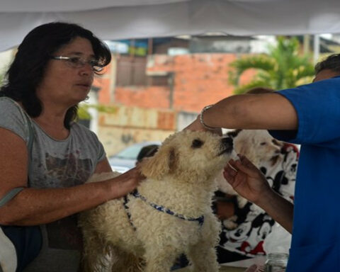 They carry out a veterinary day in the Coche parish of Caracas