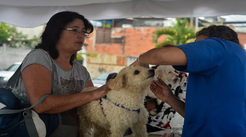They carry out a veterinary day in the Coche parish of Caracas