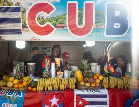 They highlight the "historical and cultural contribution of immigrants" in Argentina