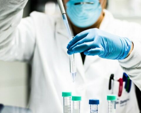 They request that Science, Technology and Innovation be considered a State policy