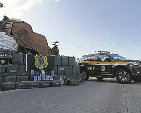 They seize 1.2 t of cocaine in Brazil and the Federal Police assures that it is from Bolivia