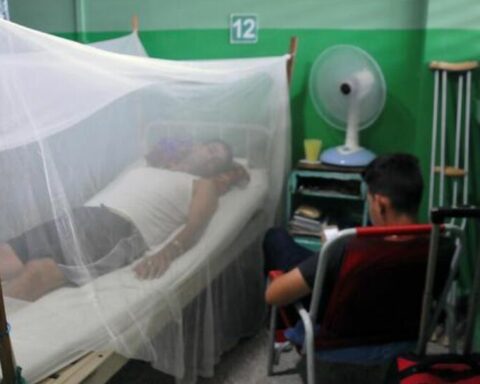 They warn about the brutal rise of dengue in Cuba, but hide the figures