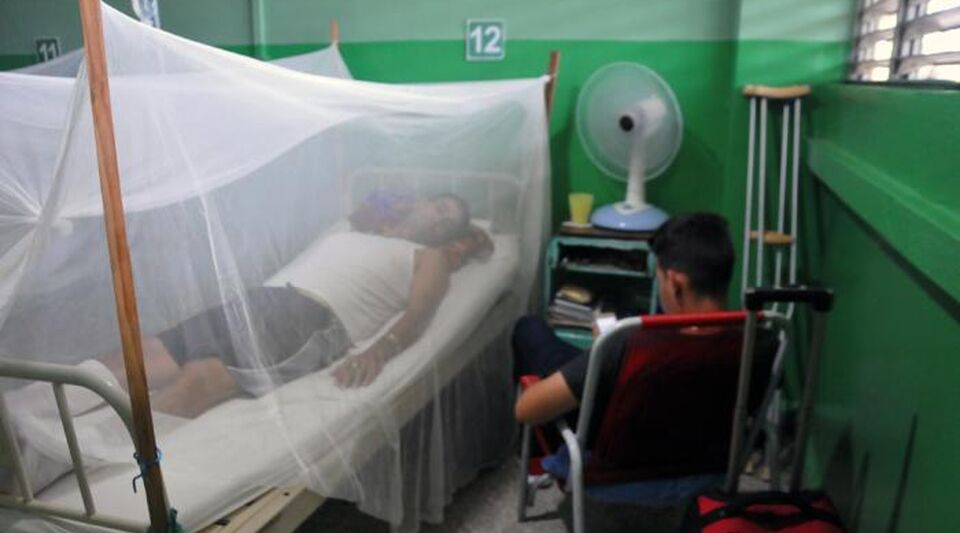 They warn about the brutal rise of dengue in Cuba, but hide the figures