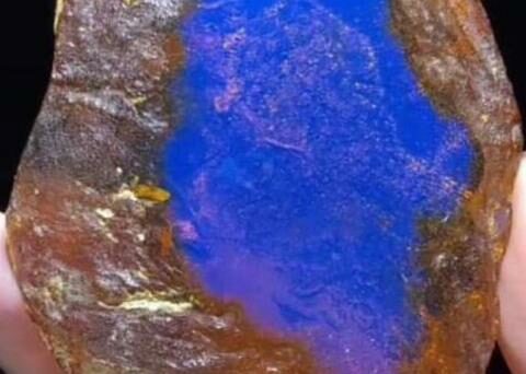 This is how Dominican amber mining collapsed